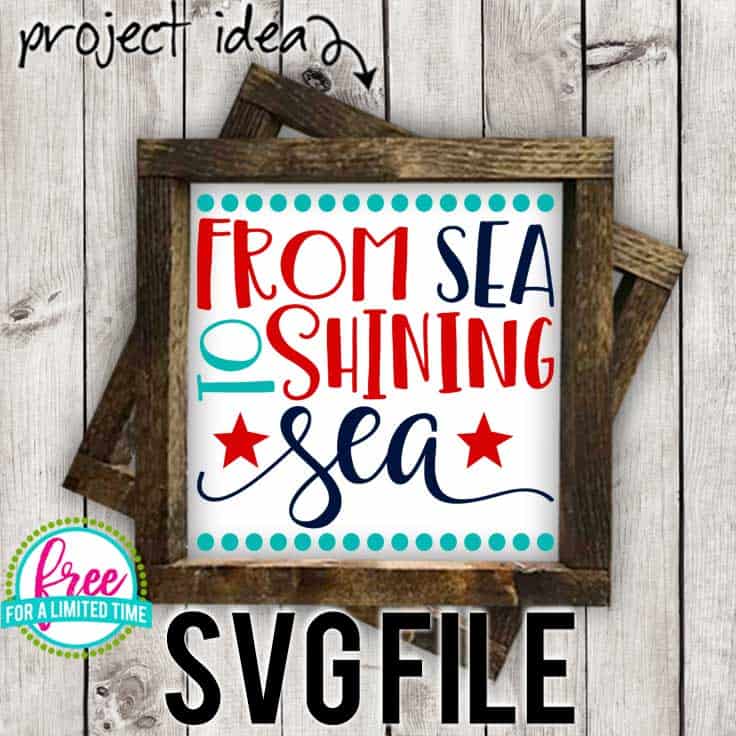 From Sea to Shining Sea Burton Avenue