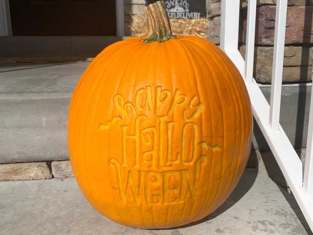 https://burtonavenue.com/wp-content/uploads/Carved-Pumpkin-main.jpg